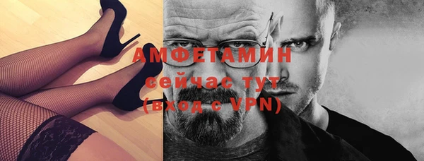 прущие грибы Наволоки