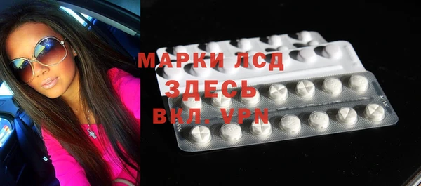 прущие грибы Наволоки