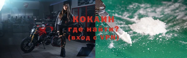 прущие грибы Наволоки