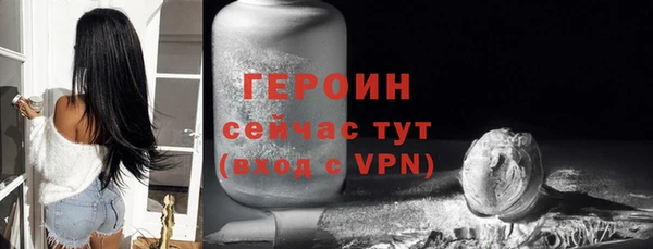 прущие грибы Наволоки