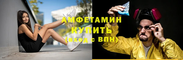 индика Михайловск