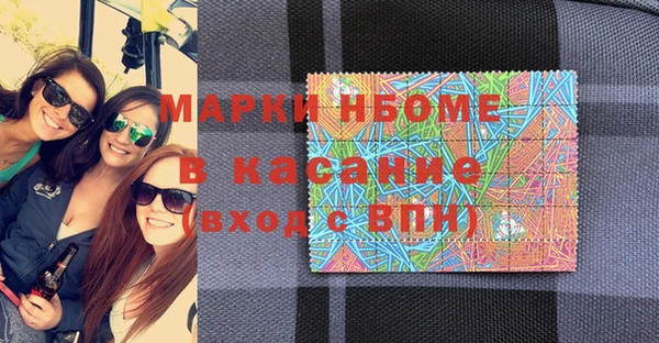 прущие грибы Наволоки