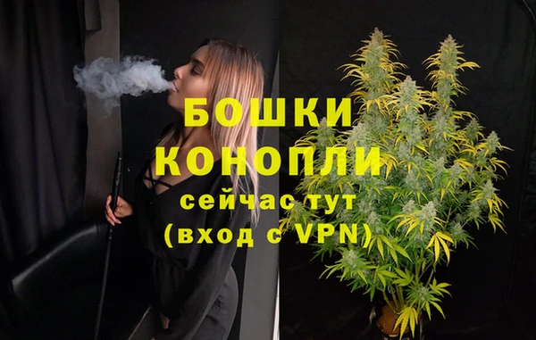 индика Михайловск