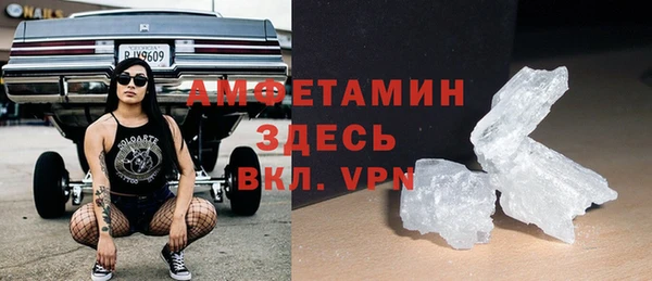 прущие грибы Наволоки