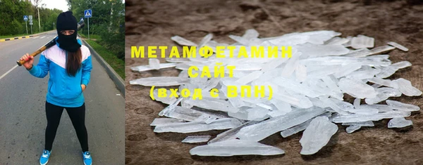 прущие грибы Наволоки