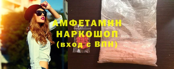 индика Михайловск